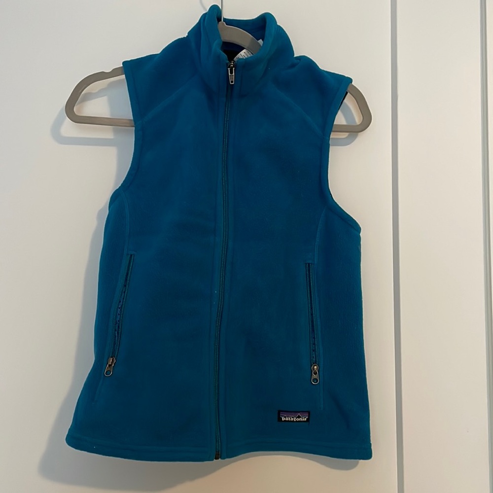 Patagonia Synchilla Vest